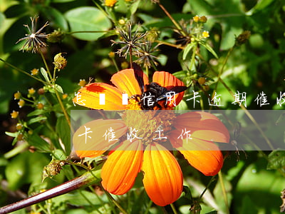 怎樣寫信用卡逾期催收方案(怎么樣做好信用卡催收工作)