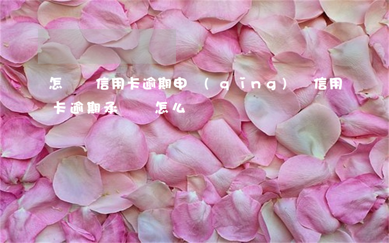 怎樣寫信用卡逾期申請(qǐng)書(信用卡逾期承諾書怎么寫)