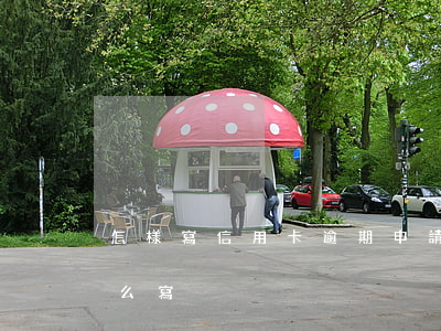 怎樣寫信用卡逾期申請書（信用卡逾期訴狀怎么寫）