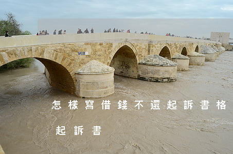 怎樣寫借錢不還起訴書格式(借錢不還怎么寫起訴書)