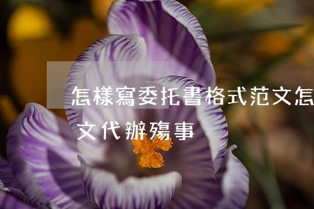 怎樣寫委托書格式范文(怎樣寫委托書格式范文代辦殤事)