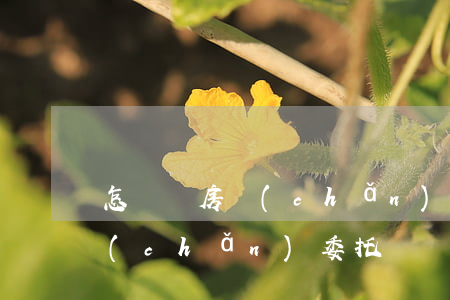 怎樣寫房產(chǎn)委托書(怎樣寫房產(chǎn)委托書)