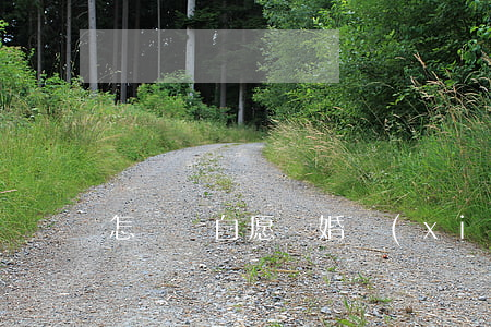怎樣寫自愿離婚協(xié)議書