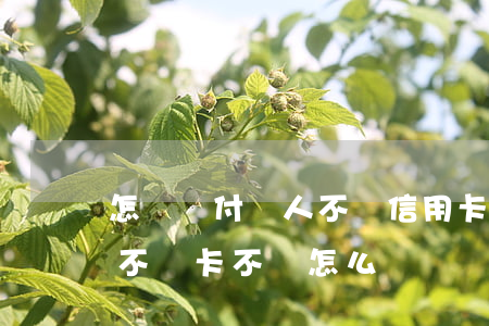 怎樣對付別人不還信用卡(讓朋友用信用卡錢不還卡不還怎么辦)
