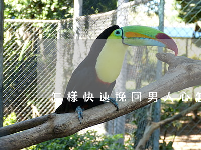 怎樣快速挽回男人心(怎樣挽留男人的心)