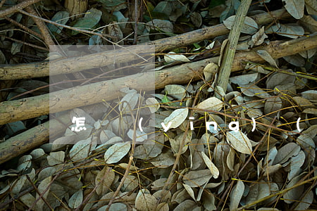 怎樣應(yīng)對(duì)雙十一呢