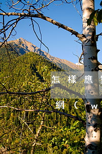 怎樣應對網(wǎng)貸的起訴(如何解決網(wǎng)貸官司)