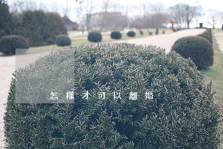 怎樣才可以離婚