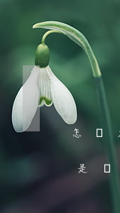 怎樣才算信用卡惡意透支(信用卡怎么樣才算是惡意透支)