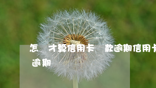 怎樣才算信用卡還款逾期(信用卡怎么才算是逾期)