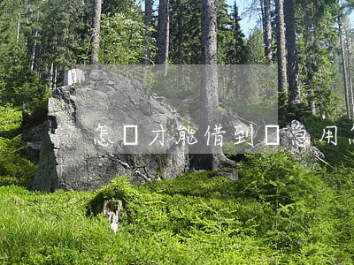 怎樣才能借到錢急用(怎樣才能借到錢急用)