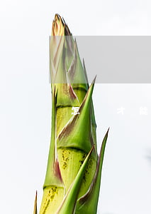 怎樣才能打勝行政訴訟(行政訴訟怎么打)