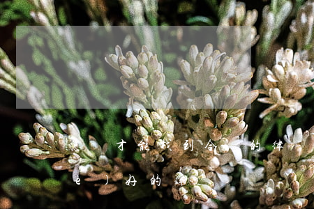 怎樣才能找到合適的律師(怎樣找到一個(gè)好的律師)