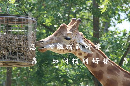 怎樣才能找到好律師網(wǎng)上的可靠嗎(如何找到好律師靠譜律師)