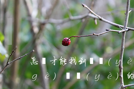 怎樣才能找到專業(yè)的律師(找一個(gè)專業(yè)的律師律師)