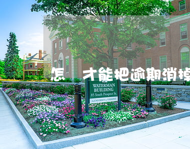怎樣才能把逾期消掉(怎么把逾期消掉)