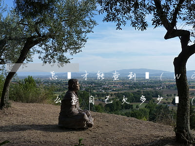 怎樣才能查到網(wǎng)貸欠多少錢(怎么查自己欠多少網(wǎng)貸)
