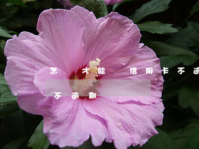 怎樣才能讓信用卡不逾期（怎樣才能讓信用卡不逾期）