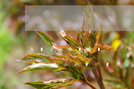 怎樣才能跟銀行協(xié)商停息分期還款-怎么和銀行協(xié)商暫停還款