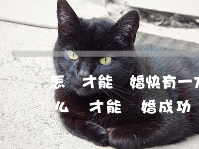 怎樣才能離婚快有一方不同意(一方不同意怎么樣才能離婚成功)