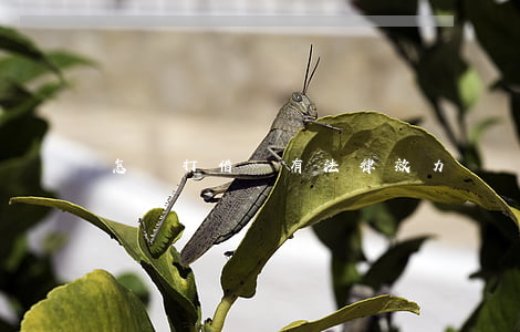 怎樣打借條有法律效力
