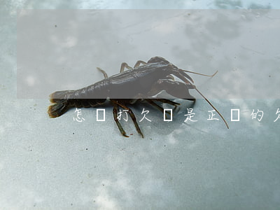 怎樣打欠條是正確的(欠條怎么打的)