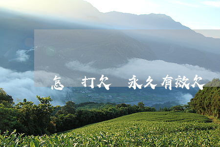 怎樣打欠條永久有效(欠條怎么打印才合法)