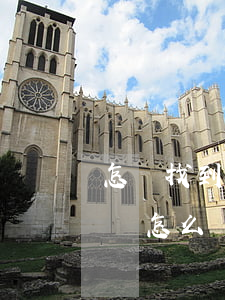 怎樣找到信用卡逾期的記錄(有信用卡逾期記錄怎么辦)