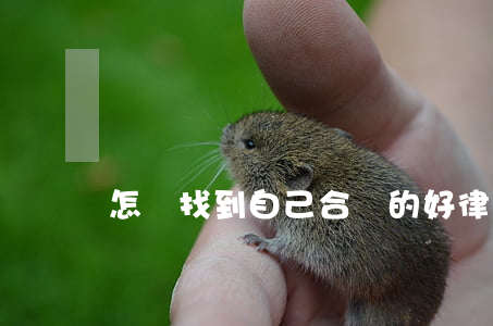 怎樣找到自己合適的好律師(怎么找到好律師)