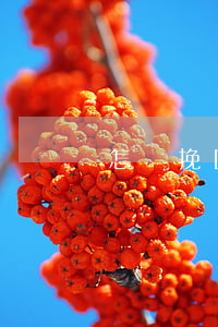 怎樣挽回堅(jiān)決要離婚的老婆