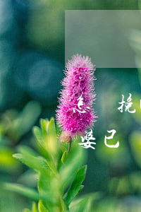 怎樣挽回堅(jiān)決要離婚的老婆(老婆已經(jīng)決定了要離婚該怎么挽留)