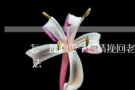 怎樣挽回妻子感情(挽回老婆感情最有效的方法)