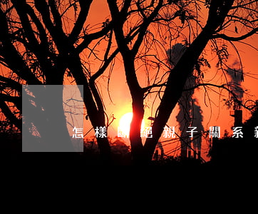 怎樣斷絕親子關系(親子可以斷絕關系嗎)