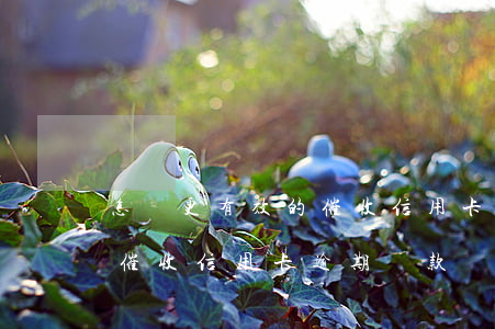 怎樣更有效的催收信用卡逾期(怎樣更有效的催收信用卡逾期還款)