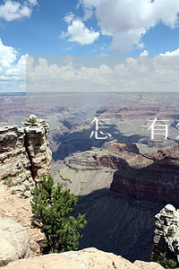 怎樣有效阻止地方政府進行違法征地