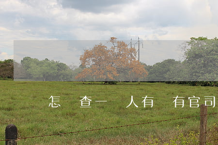 怎樣查一個人有沒有官司