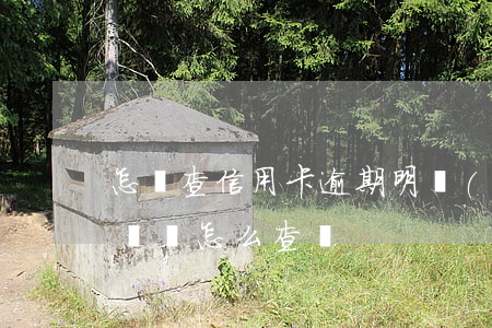 怎樣查信用卡逾期明細(xì)(信用卡逾期賬單怎么查詢)