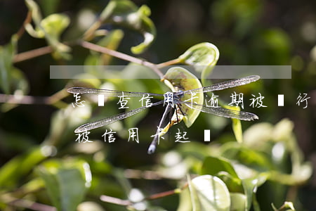 怎樣查信用卡逾期被銀行起訴(如何查詢是否被信用卡起訴)