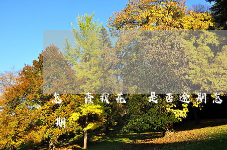 怎樣查我花唄是否逾期(怎樣查我花唄是否逾期)