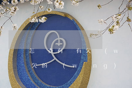怎樣查有沒有欠網(wǎng)貸(怎么查詢欠的網(wǎng)貸)