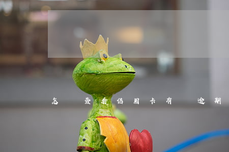 怎樣查看信用卡有沒逾期