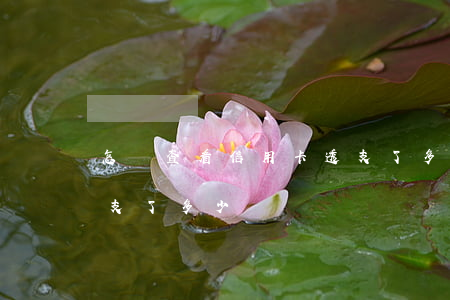 怎樣查看信用卡透支了多少(怎么看信用卡透支了多少)