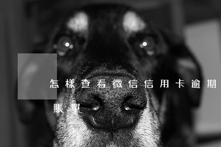 怎樣查看微信信用卡逾期(微信怎么看信用卡賬單)