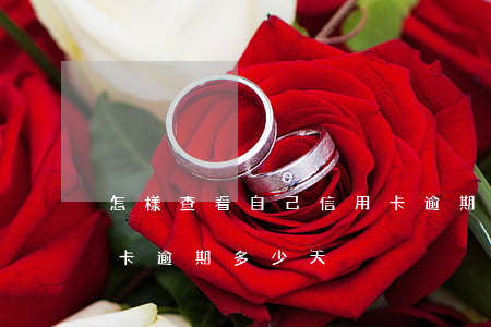 怎樣查看自己信用卡逾期的時間(怎么查信用卡逾期多少天)