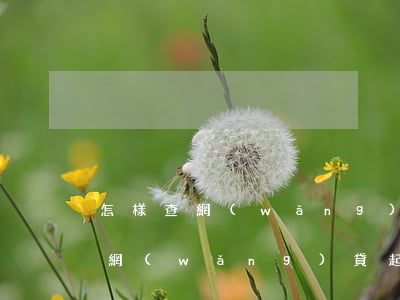 怎樣查網(wǎng)貸被起訴了 怎么查被網(wǎng)貸起訴
