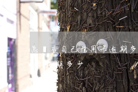 怎樣查自己信用卡逾期多少(怎樣查自己信用卡逾期多少)