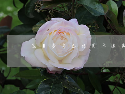 怎樣查自己信用卡逾期次數(shù)