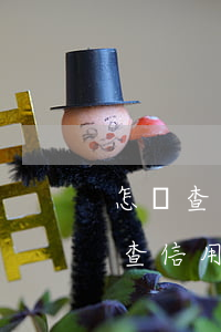 怎樣查詢(xún)信用卡是否透支了(怎么查信用卡能透支多少)
