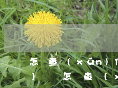 怎樣查詢(xún)信用卡逾期明細(xì)記錄(怎樣查詢(xún)信用卡逾期明細(xì)記錄)
