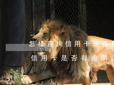 怎樣查詢信用卡是否有逾期記錄-怎樣查詢信用卡是否有逾期記錄呢